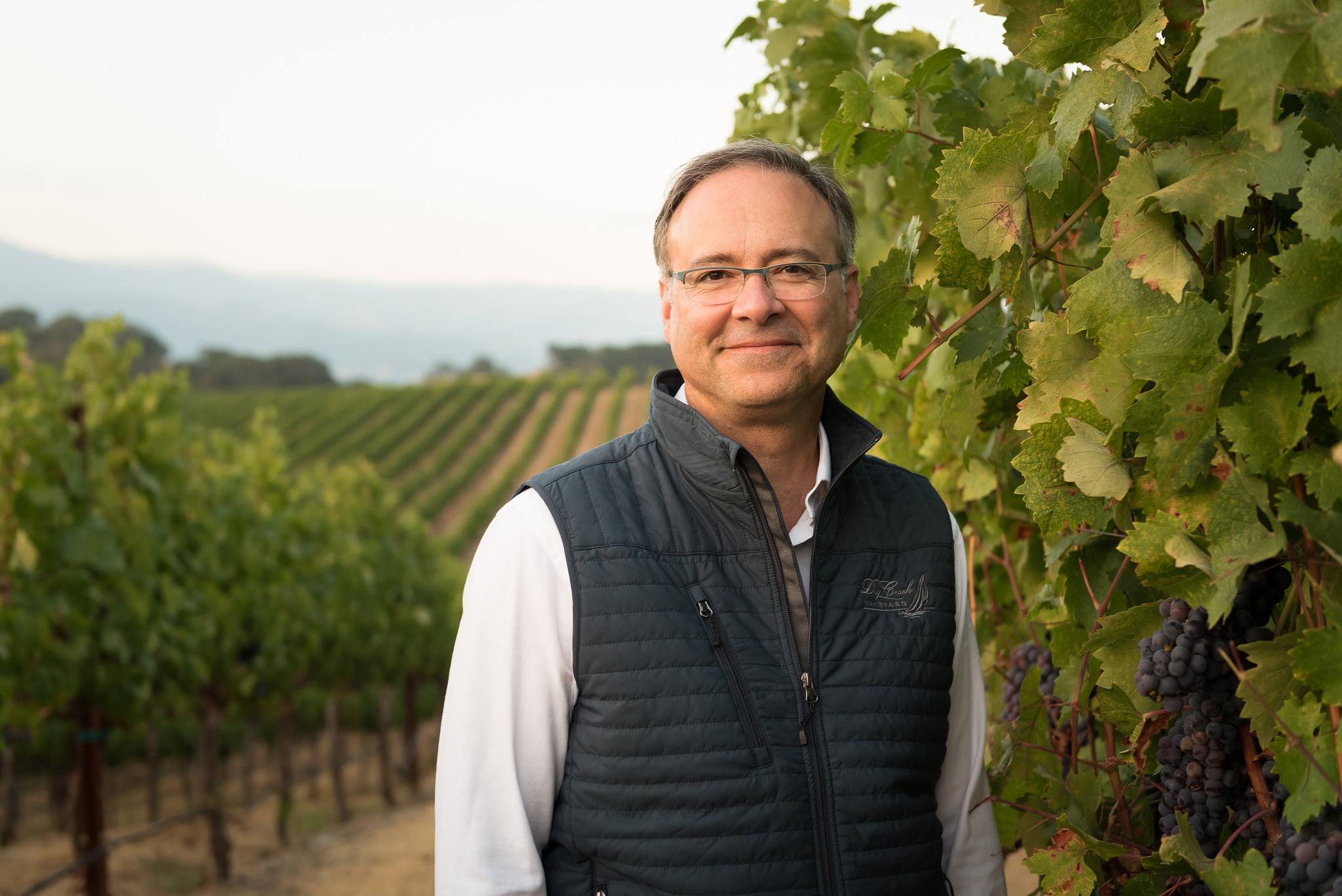 drycreekvineyard