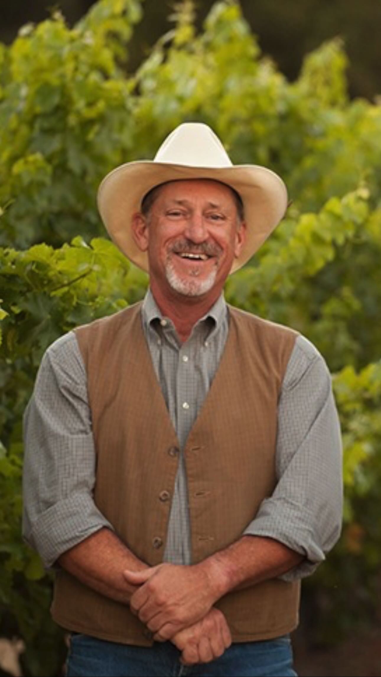 drycreekvineyard